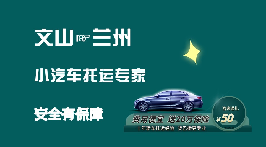 文山到蘭州轎車(chē)托運(yùn)