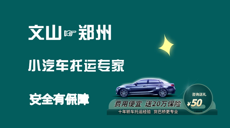 文山到鄭州轎車托運