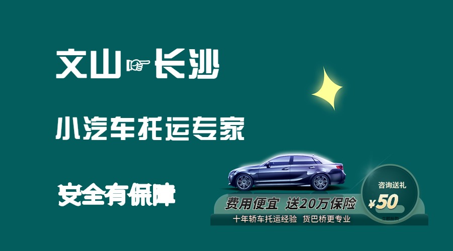 文山到長沙轎車托運