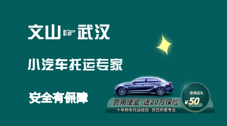 文山到武漢轎車托運