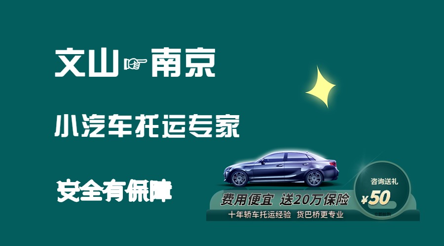 文山到南京轎車托運
