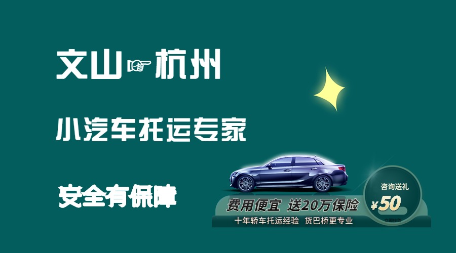 文山到杭州轎車托運